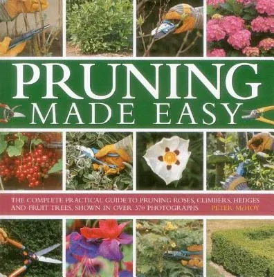 Pruning Made Easy