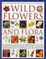 Wild Flowers and Flora: An Illustrated Identifier and Encyclopedia