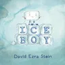 Ice Boy