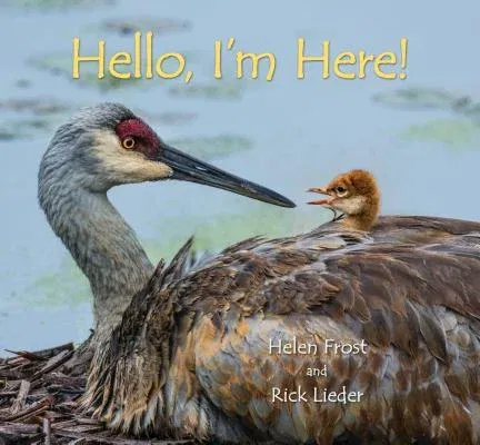 Hello, I'm Here!