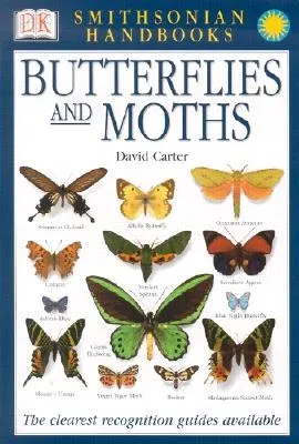 Butterflies & Moths: The Clearest Recognition Guide Available