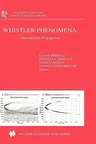 Whistler Phenomena: Short Impulse Propagation (2001)