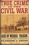 True Crime in the Civil War: Cases of Murder, Treason, Counterfeiting, Massacre, Plunder & Abuse