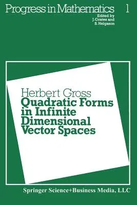 Quadratic Forms in Infinite Dimensional Vector Spaces (1979)