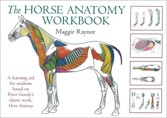 The Horse Anatomy Workbook: A Learning Aid for Students Based on Peter Goody's Classic Work, Horse Anatomy