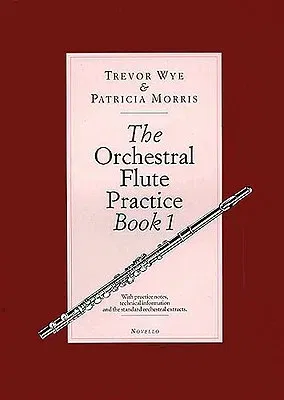 The Orchestral Flute Practice, Book 1