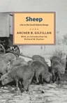 Sheep: Life on the South Dakota Range