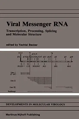 Viral Messenger RNA: Transcription, Processing, Splicing and Molecular Structure (1985)