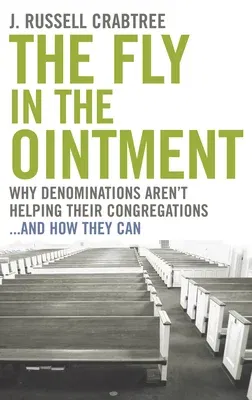 The Fly in the Ointment: Why Denominations Aren't Helping Their Congregations...and How They Can