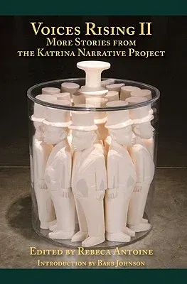 Voices Rising II: More Stories from the Katrina Narrative Project