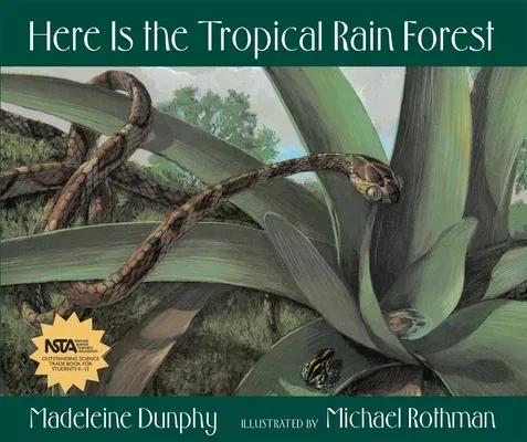 Here Is the Tropical Rain Forest