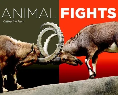 Animal Fights