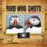 Bird Mug Shots: A Unique Look at North America's Most Wanted Birds