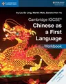 Cambridge Igcse(r) Chinese as a First Language Workbook