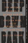 Deep Down Dark: The Untold Stories of 33 Men Buried in a Chilean Mine, and the Miracle That Set Them Free