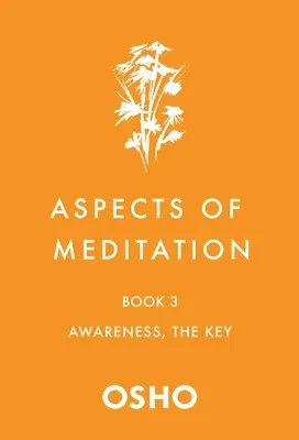 Aspects of Meditation Book 3: Awareness, the Key