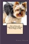 How to Raise and Understand your Yorkshire Terrier Puppy or Dog