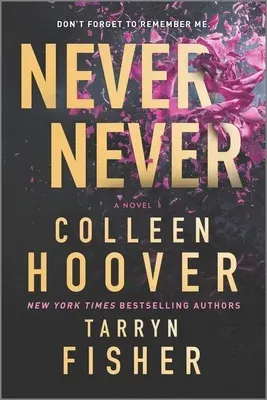 Never Never: A Twisty, Angsty Romance (Original)