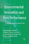 Environmental Innovation and Firm Performance: A Natural Resource-Based View (2013)