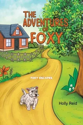 The Adventures of Foxy