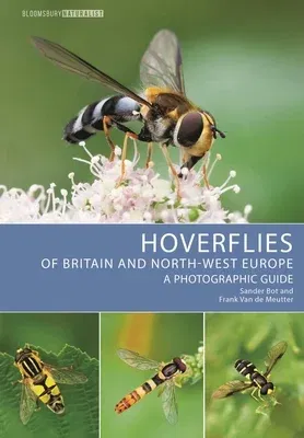 Hoverflies of Britain and North-West Europe: A Photographic Guide