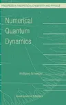 Numerical Quantum Dynamics (2002)