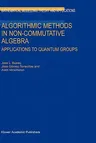 Algorithmic Methods in Non-Commutative Algebra: Applications to Quantum Groups (2003)