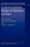 Endomorphism Rings of Abelian Groups (2003)