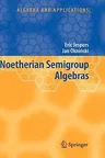 Noetherian Semigroup Algebras (2007)