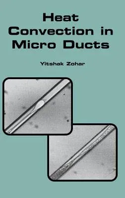 Heat Convection in Micro Ducts (2002)