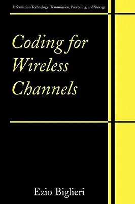 Coding for Wireless Channels (2005)