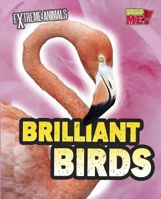 Brilliant Birds