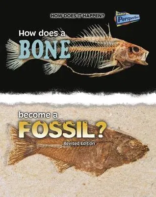 How Does a Bone Become a Fossil? (Revised)