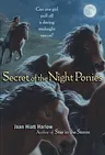 Secret of the Night Ponies (Reprint)