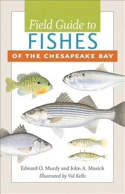 Field Guide to Fishes of the Chesapeake Bay