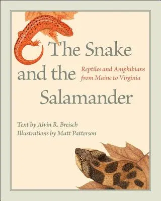 The Snake and the Salamander: Reptiles and Amphibians from Maine to Virginia