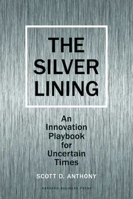 Silver Lining: Your Guide to Innovating in a Downturn