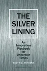 Silver Lining: Your Guide to Innovating in a Downturn