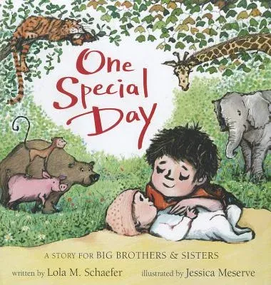 One Special Day: A Story for Big Brothers and Sisters