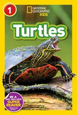 Turtles