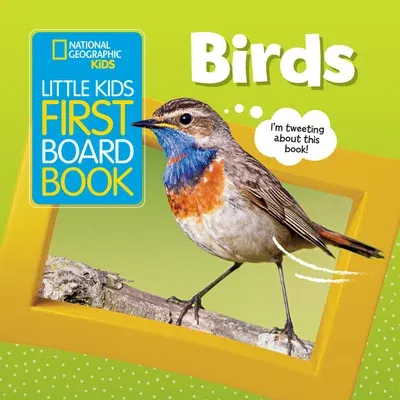 Little Kids First Board Book: Birds