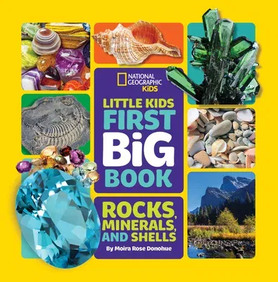 Little Kids First Big Book of Rocks, Minerals & Shells-Library Edition