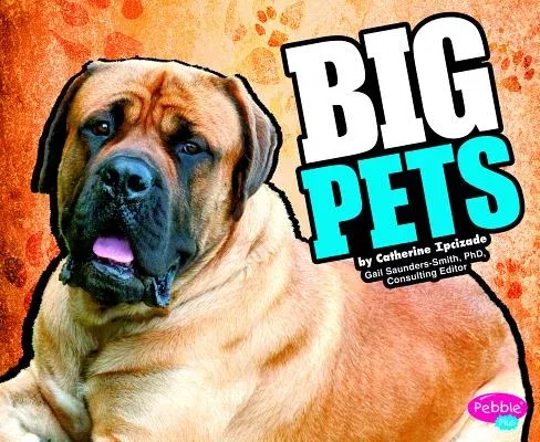 Big Pets