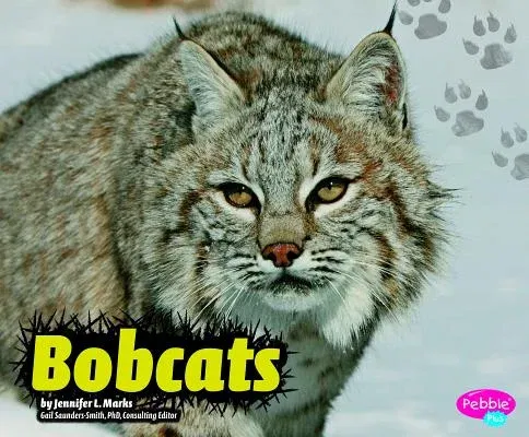 Bobcats