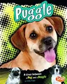 Puggle: A Cross Between a Pug and a Beagle