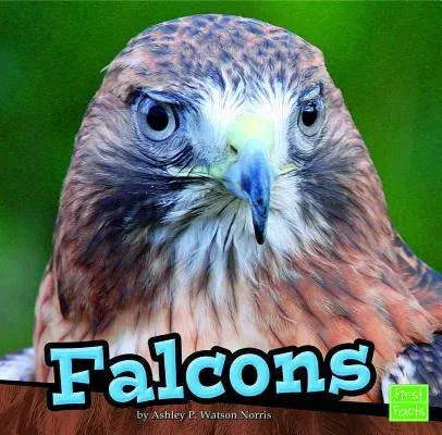 Falcons