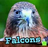 Falcons