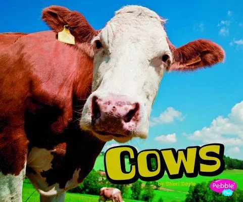 Cows