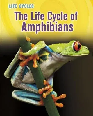 The Life Cycle of Amphibians