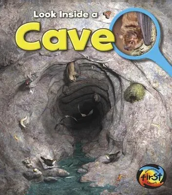 Cave: Look Inside